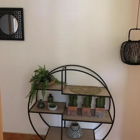Apartman Casa Padre Pio Priegue